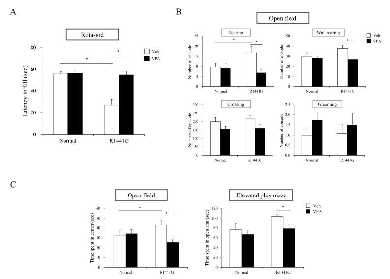 https://cdn.ncbi.nlm.nih.gov/pmc/blobs/eaac/6751862/e8e6b8d8453a/en-28-504-g005.jpg