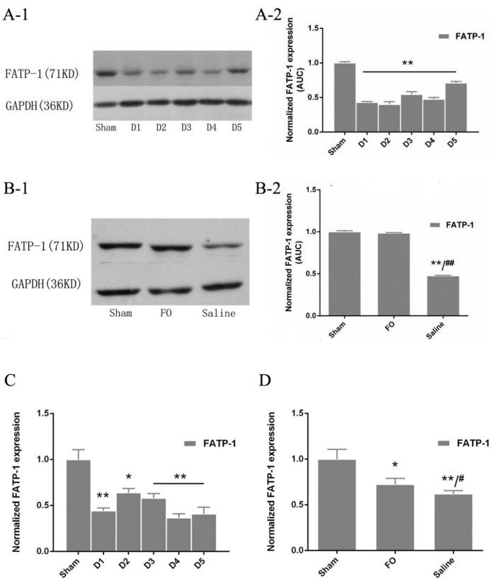 https://cdn.ncbi.nlm.nih.gov/pmc/blobs/eaaf/4848705/1f288f44c44b/nutrients-08-00237-g002.jpg