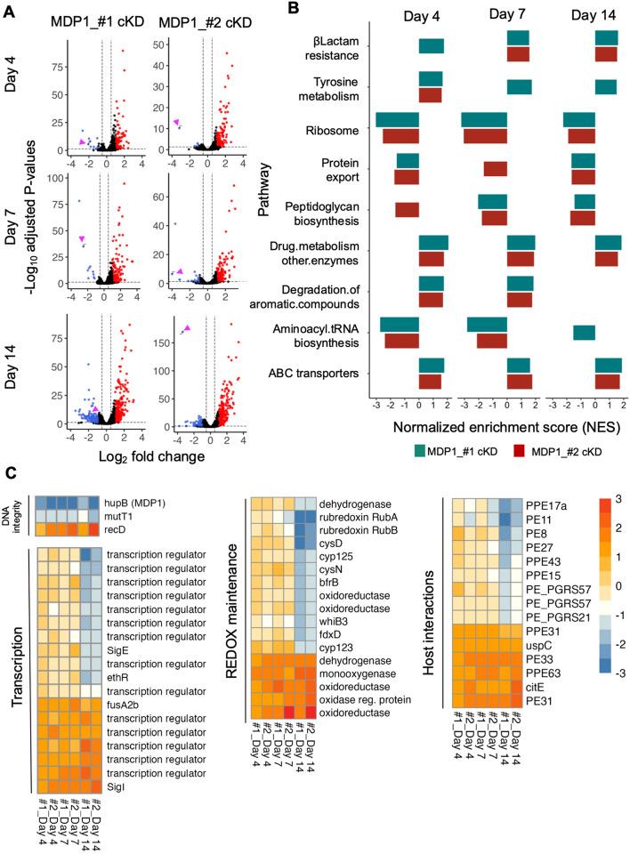 https://cdn.ncbi.nlm.nih.gov/pmc/blobs/eab0/10465568/54852cb57070/41598_2023_40941_Fig6_HTML.jpg