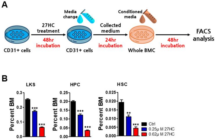 https://cdn.ncbi.nlm.nih.gov/pmc/blobs/eab1/11477443/59ceb010b9ca/ijms-25-10517-g007.jpg