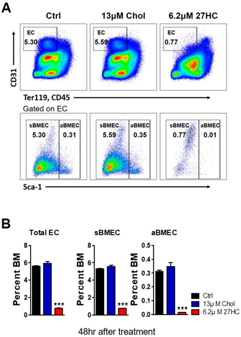 https://cdn.ncbi.nlm.nih.gov/pmc/blobs/eab1/11477443/d57250ca2360/ijms-25-10517-g001.jpg