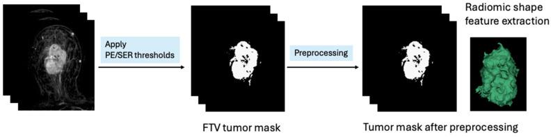 https://cdn.ncbi.nlm.nih.gov/pmc/blobs/eab2/11598075/856645aca081/tomography-10-00134-g001.jpg