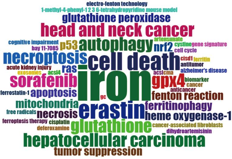 https://cdn.ncbi.nlm.nih.gov/pmc/blobs/eab4/9403769/1e477c2e9740/fonc-12-948389-g008.jpg