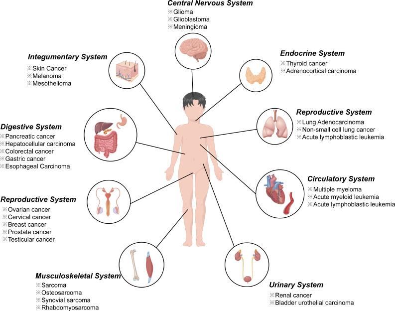 https://cdn.ncbi.nlm.nih.gov/pmc/blobs/eab4/9403769/27f0c367d0c7/fonc-12-948389-g001.jpg