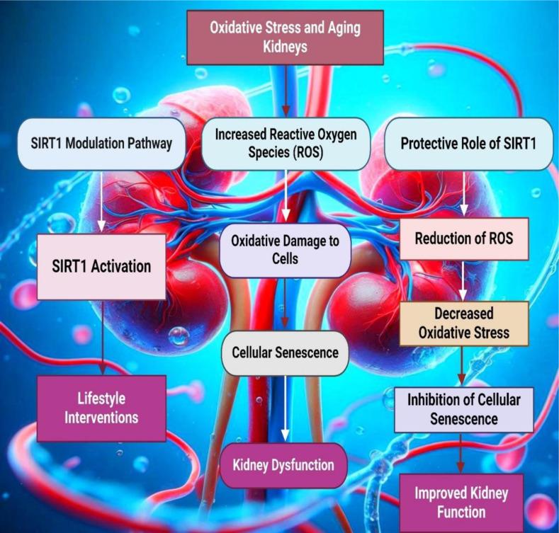https://cdn.ncbi.nlm.nih.gov/pmc/blobs/eab5/11464868/221525f22581/EXCLI-23-1030-g-001.jpg