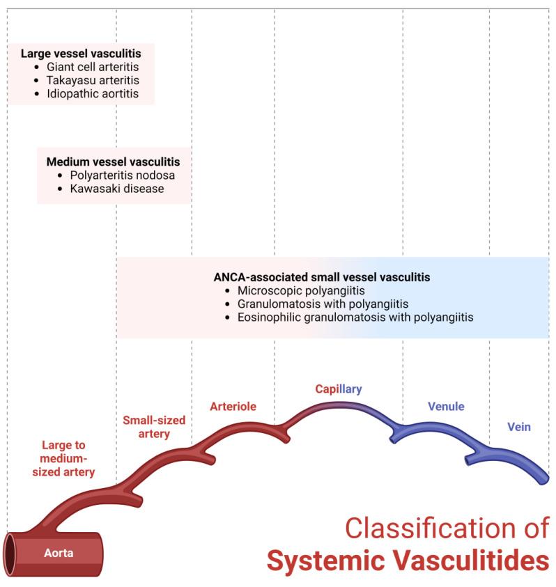 https://cdn.ncbi.nlm.nih.gov/pmc/blobs/eab6/11049623/1c845a6e535a/diagnostics-14-00838-g001.jpg
