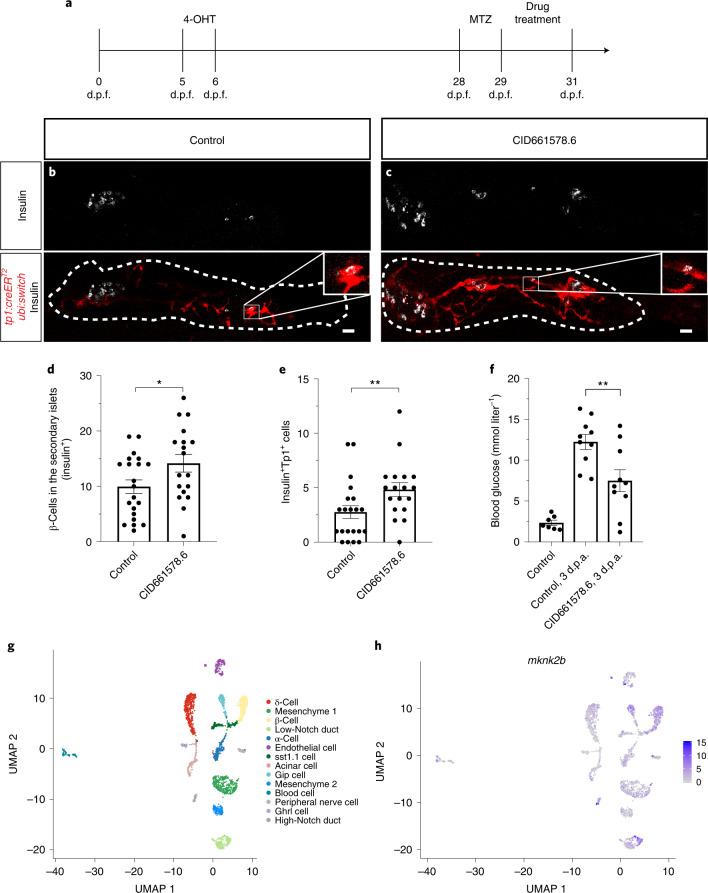 https://cdn.ncbi.nlm.nih.gov/pmc/blobs/eab6/9395273/4062114fc07a/41589_2022_1047_Fig2_HTML.jpg