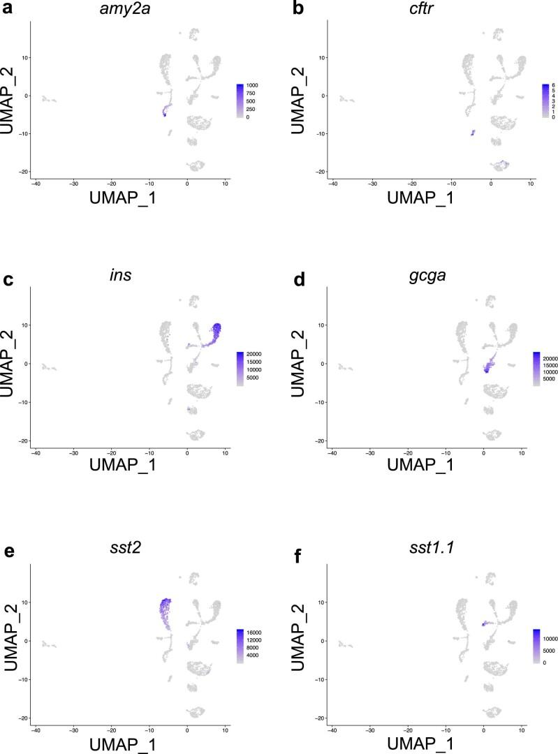 https://cdn.ncbi.nlm.nih.gov/pmc/blobs/eab6/9395273/ae9065b4e021/41589_2022_1047_Fig11_ESM.jpg