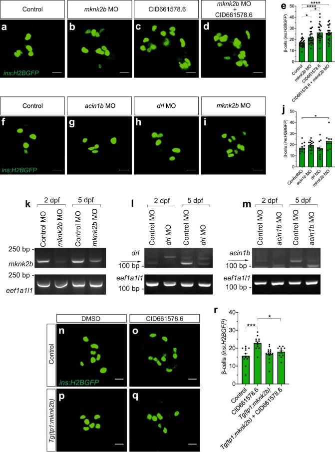 https://cdn.ncbi.nlm.nih.gov/pmc/blobs/eab6/9395273/c94f1dc287b6/41589_2022_1047_Fig13_ESM.jpg