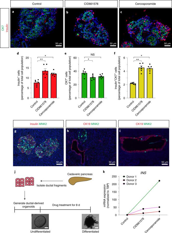 https://cdn.ncbi.nlm.nih.gov/pmc/blobs/eab6/9395273/ca3308ae541e/41589_2022_1047_Fig6_HTML.jpg