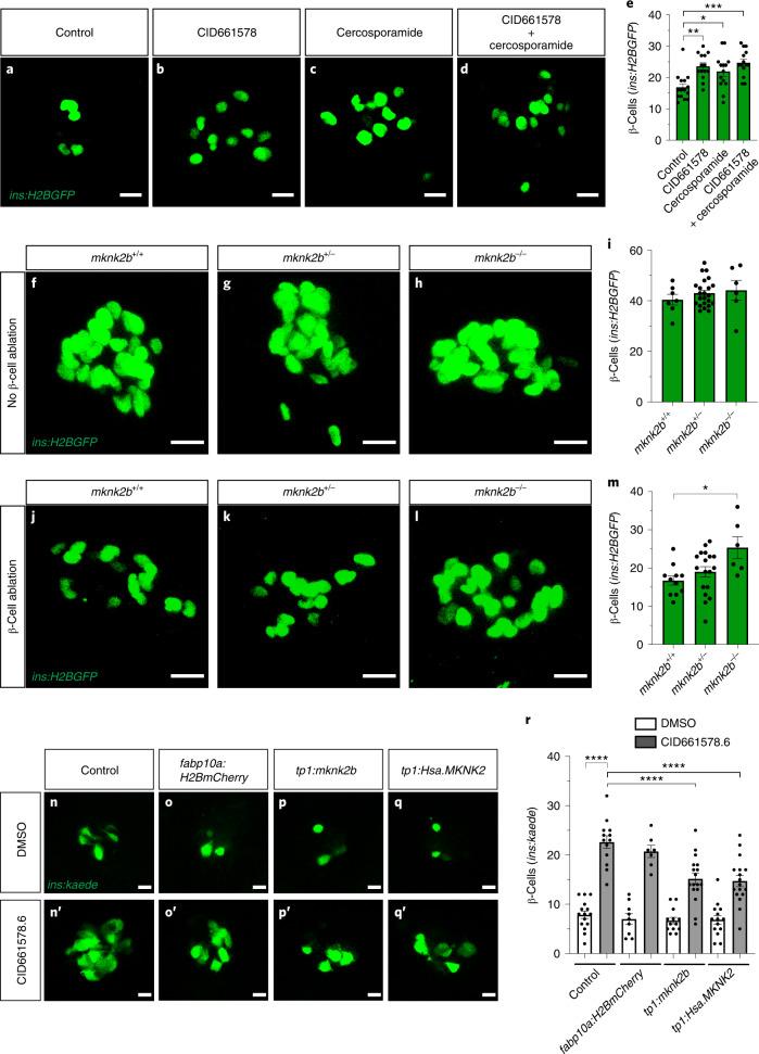 https://cdn.ncbi.nlm.nih.gov/pmc/blobs/eab6/9395273/f6c86aadfa25/41589_2022_1047_Fig3_HTML.jpg
