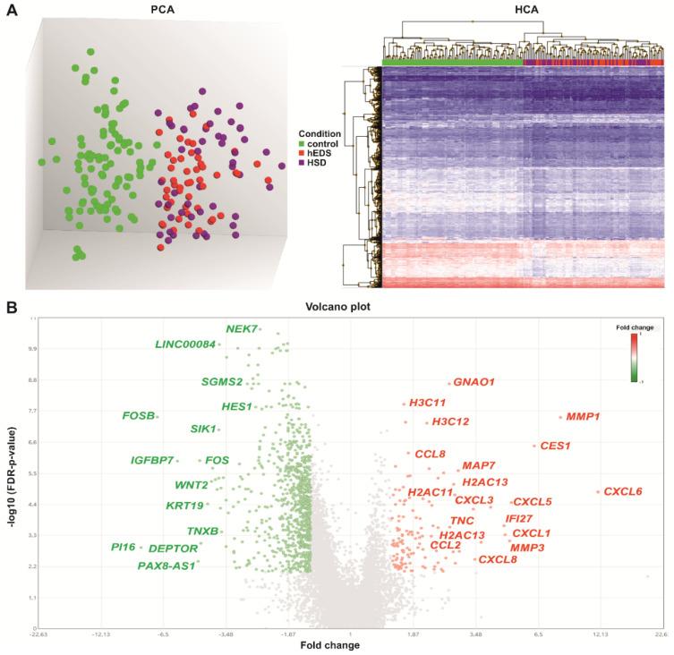 https://cdn.ncbi.nlm.nih.gov/pmc/blobs/eab7/9777098/6cd7990073c7/cells-11-04040-g002.jpg