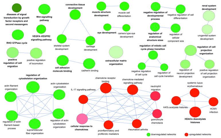 https://cdn.ncbi.nlm.nih.gov/pmc/blobs/eab7/9777098/71c6f240b303/cells-11-04040-g004.jpg
