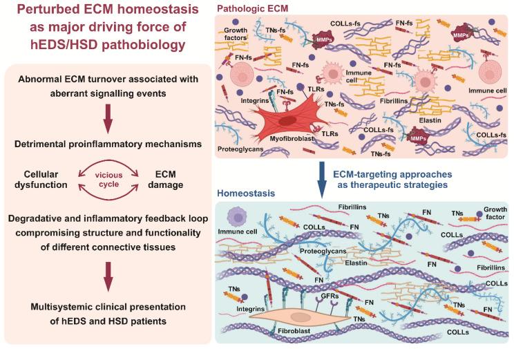 https://cdn.ncbi.nlm.nih.gov/pmc/blobs/eab7/9777098/ce6bbe0089db/cells-11-04040-g006.jpg