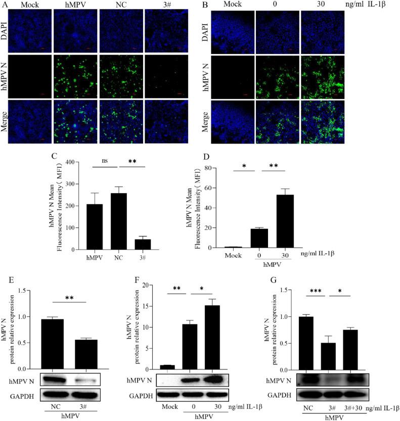 https://cdn.ncbi.nlm.nih.gov/pmc/blobs/eab8/10982080/067783387121/gr4.jpg