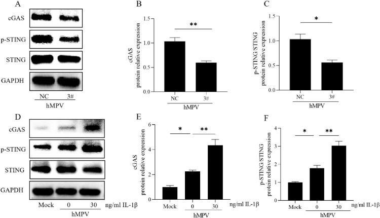 https://cdn.ncbi.nlm.nih.gov/pmc/blobs/eab8/10982080/6ce662007a12/gr6.jpg