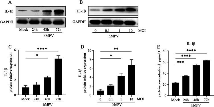 https://cdn.ncbi.nlm.nih.gov/pmc/blobs/eab8/10982080/789b7ed79eac/gr2.jpg