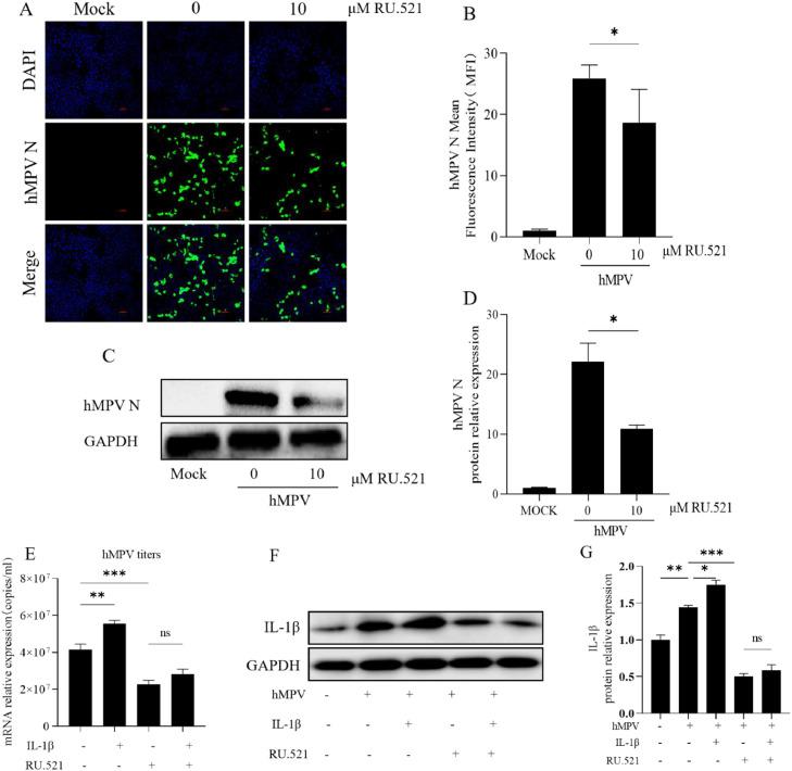 https://cdn.ncbi.nlm.nih.gov/pmc/blobs/eab8/10982080/7eee68e8d868/gr7.jpg
