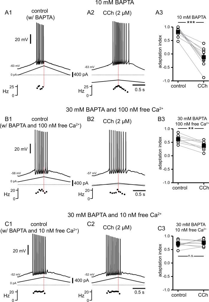 https://cdn.ncbi.nlm.nih.gov/pmc/blobs/eab9/10365838/143177a46bae/elife-84387-fig10.jpg