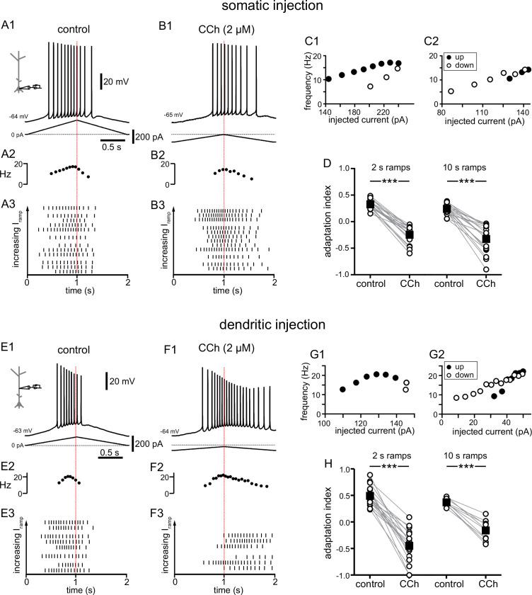 https://cdn.ncbi.nlm.nih.gov/pmc/blobs/eab9/10365838/40532c79af33/elife-84387-fig1.jpg