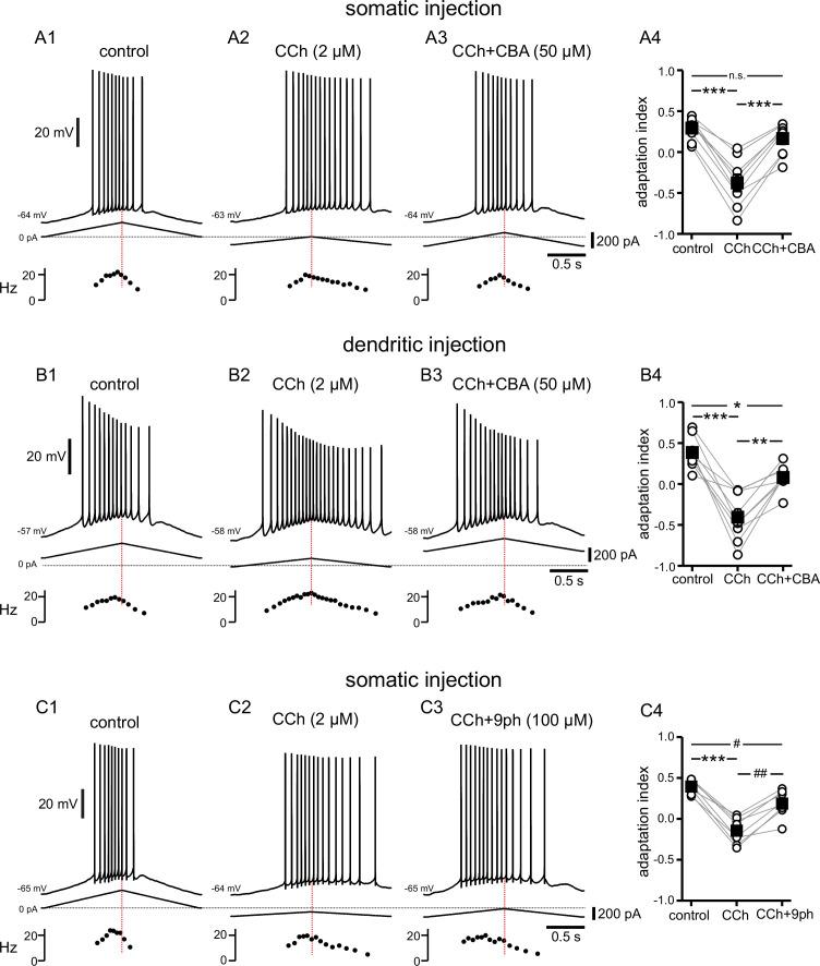 https://cdn.ncbi.nlm.nih.gov/pmc/blobs/eab9/10365838/d9058cebbc21/elife-84387-fig5.jpg