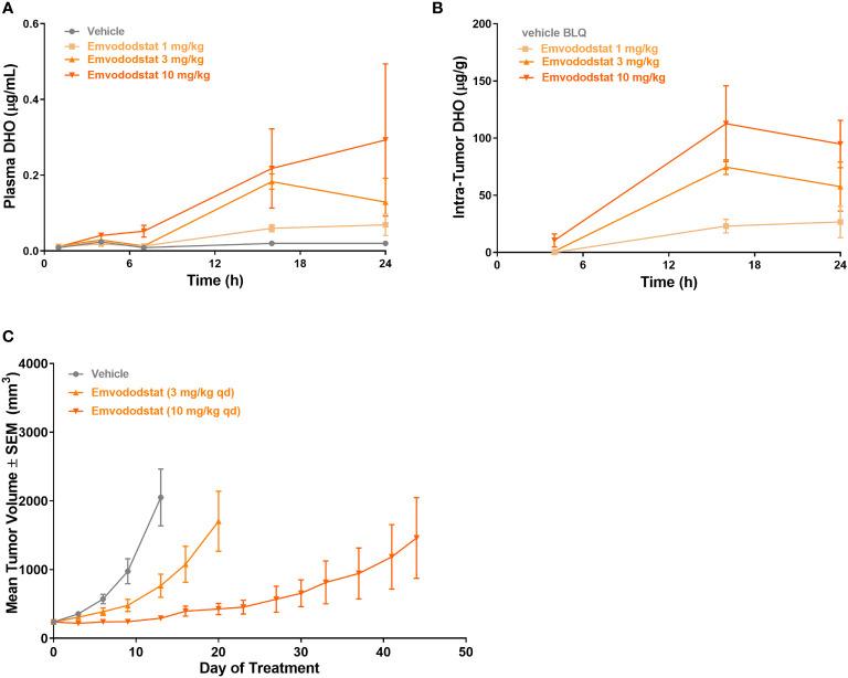 https://cdn.ncbi.nlm.nih.gov/pmc/blobs/eab9/8864546/868e63cade72/fonc-12-832816-g005.jpg