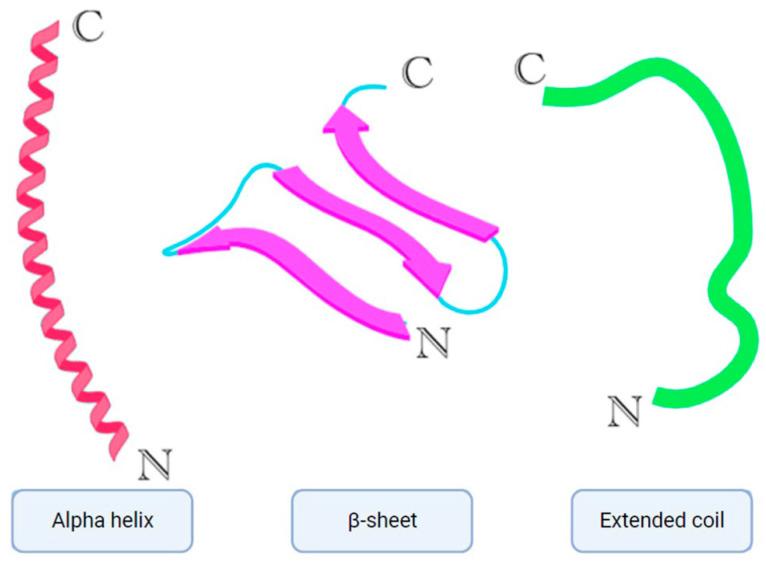 https://cdn.ncbi.nlm.nih.gov/pmc/blobs/eaba/11476732/5106b165fa1a/ijms-25-10788-g002.jpg