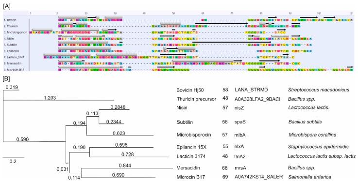 https://cdn.ncbi.nlm.nih.gov/pmc/blobs/eaba/11476732/709cfd41275a/ijms-25-10788-g006.jpg