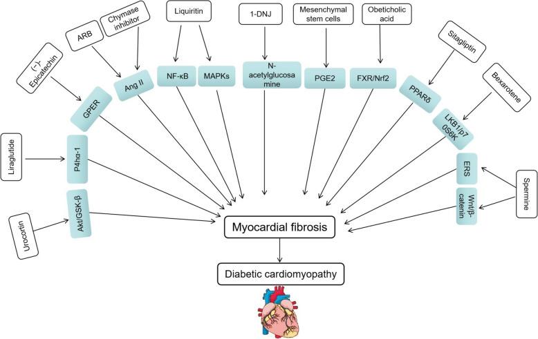 https://cdn.ncbi.nlm.nih.gov/pmc/blobs/eabb/12186413/bbd55f881b8a/13098_2025_1783_Fig4_HTML.jpg