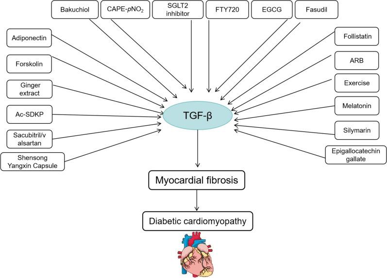https://cdn.ncbi.nlm.nih.gov/pmc/blobs/eabb/12186413/dbbcf8498018/13098_2025_1783_Fig2_HTML.jpg