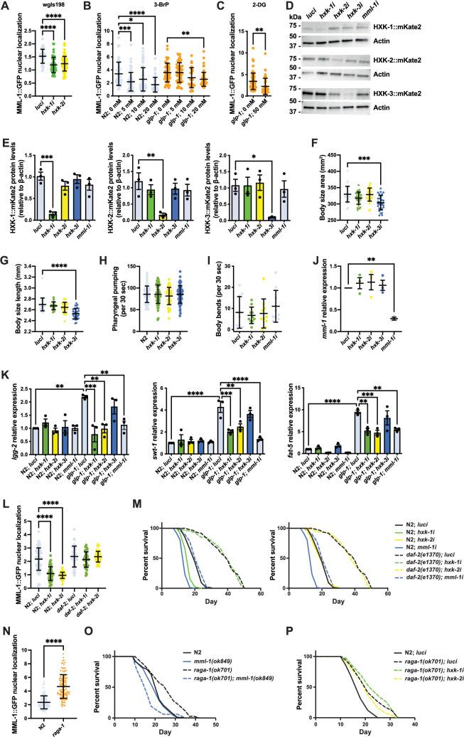 https://cdn.ncbi.nlm.nih.gov/pmc/blobs/eabb/12339002/04ef74fe3826/elife-89225-fig1-figsupp1.jpg