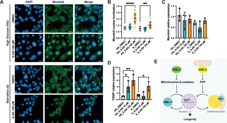 https://cdn.ncbi.nlm.nih.gov/pmc/blobs/eabb/12339002/5b81edacade1/elife-89225-fig5.jpg