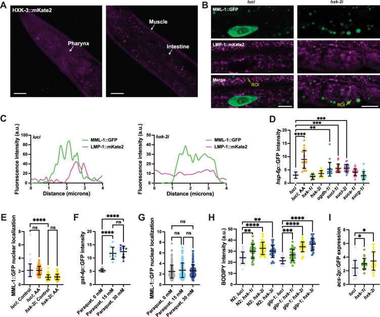 https://cdn.ncbi.nlm.nih.gov/pmc/blobs/eabb/12339002/662d3da04e78/elife-89225-fig2-figsupp1.jpg