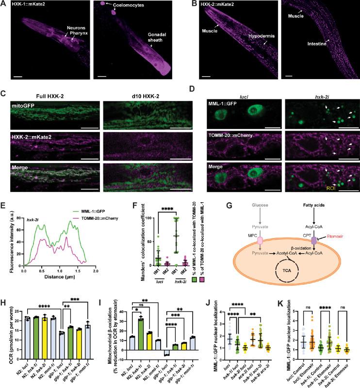 https://cdn.ncbi.nlm.nih.gov/pmc/blobs/eabb/12339002/739602d8cee3/elife-89225-fig2.jpg