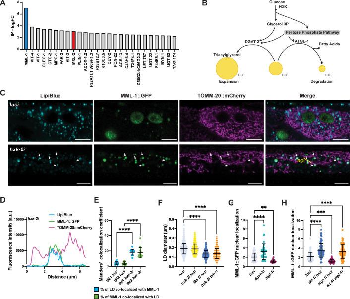 https://cdn.ncbi.nlm.nih.gov/pmc/blobs/eabb/12339002/91137ee3ad22/elife-89225-fig4.jpg