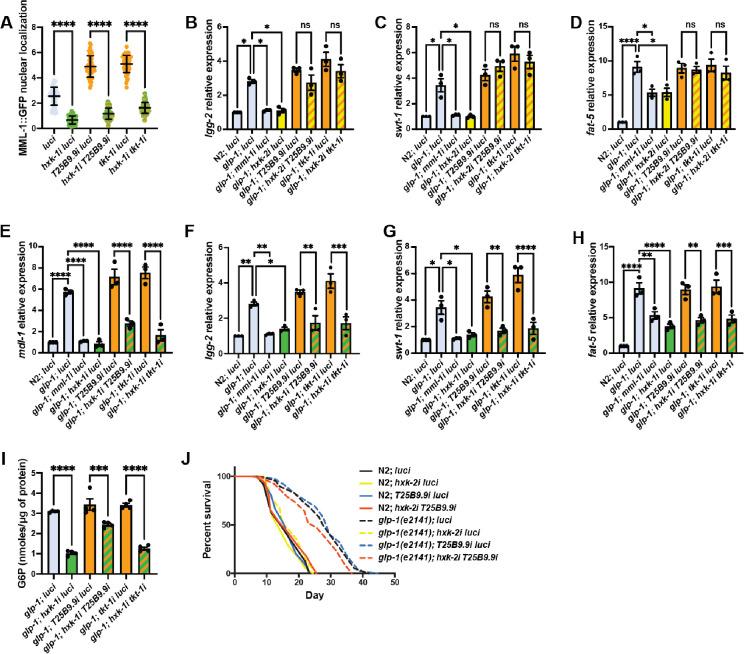 https://cdn.ncbi.nlm.nih.gov/pmc/blobs/eabb/12339002/ba4daa699593/elife-89225-fig3-figsupp1.jpg