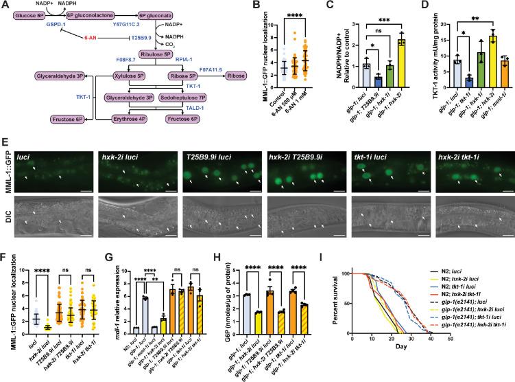 https://cdn.ncbi.nlm.nih.gov/pmc/blobs/eabb/12339002/cff4725432c1/elife-89225-fig3.jpg