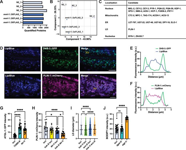 https://cdn.ncbi.nlm.nih.gov/pmc/blobs/eabb/12339002/d34264580033/elife-89225-fig4-figsupp1.jpg