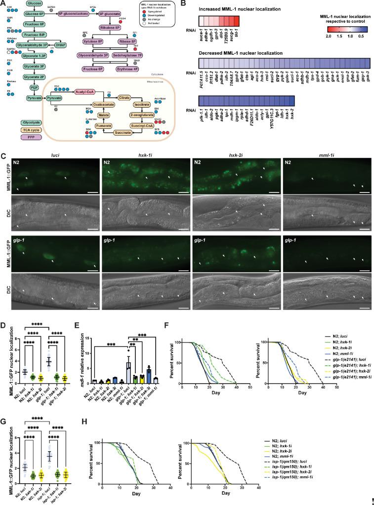 https://cdn.ncbi.nlm.nih.gov/pmc/blobs/eabb/12339002/d5b0dc48f3af/elife-89225-fig1.jpg