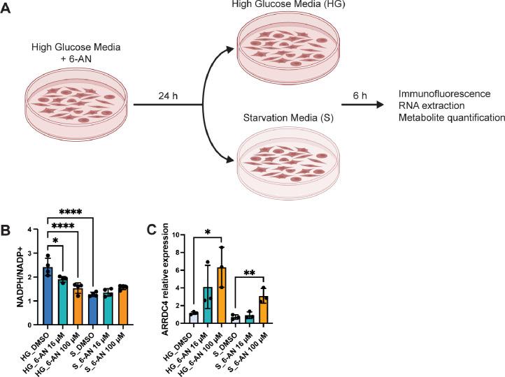 https://cdn.ncbi.nlm.nih.gov/pmc/blobs/eabb/12339002/ecd6352ccc19/elife-89225-fig5-figsupp1.jpg