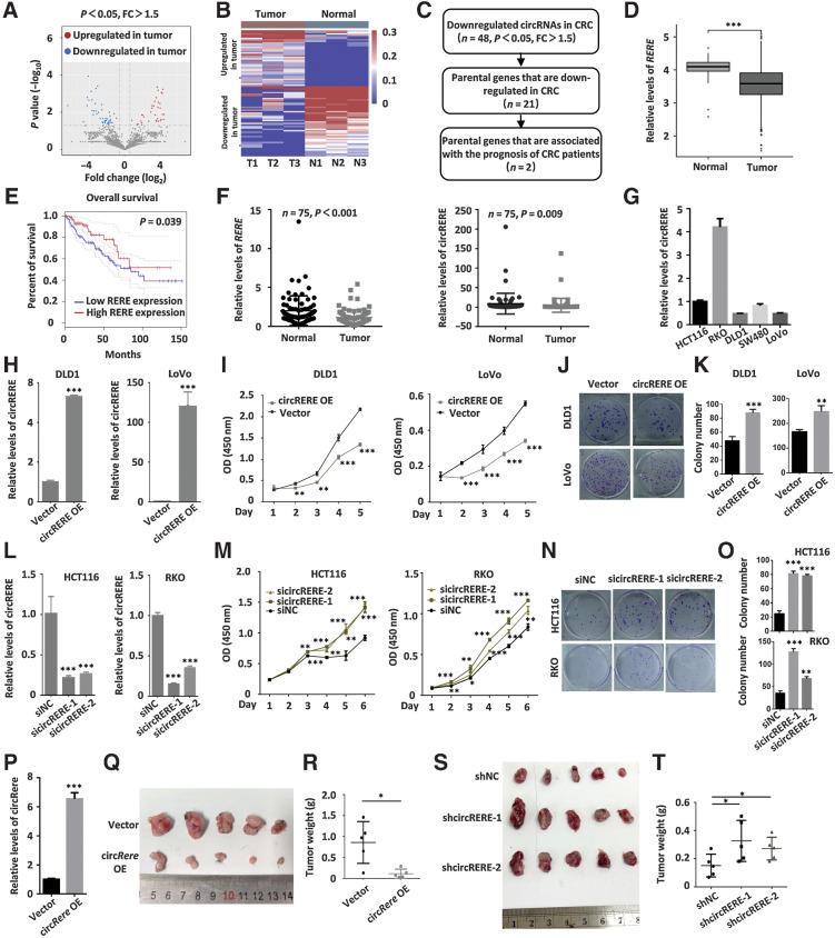 https://cdn.ncbi.nlm.nih.gov/pmc/blobs/eabc/10233356/ddd2ceff41b6/2095fig1.jpg