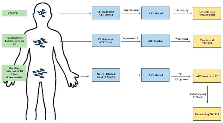 https://cdn.ncbi.nlm.nih.gov/pmc/blobs/eabc/7693460/622a79530459/life-10-00262-g001.jpg