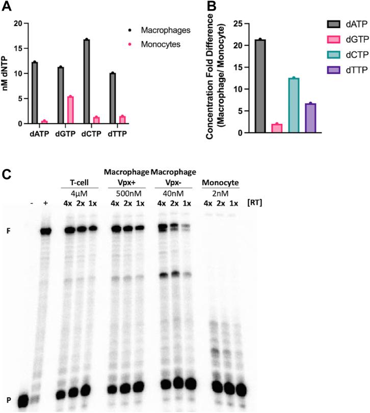 https://cdn.ncbi.nlm.nih.gov/pmc/blobs/eabd/10374972/16d6d4412423/gr6.jpg