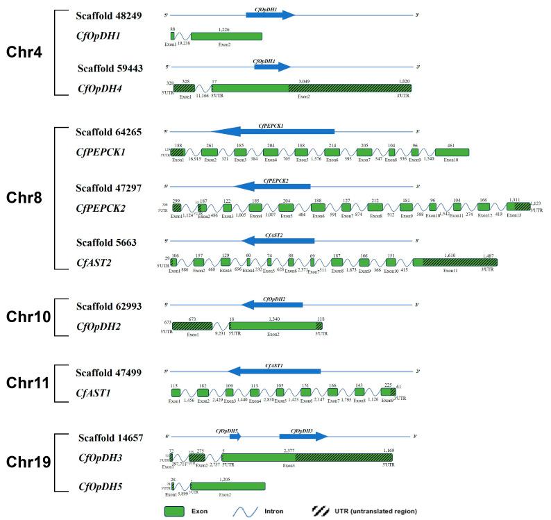 https://cdn.ncbi.nlm.nih.gov/pmc/blobs/eabd/11084901/2e201476fef8/ijms-25-04741-g001.jpg