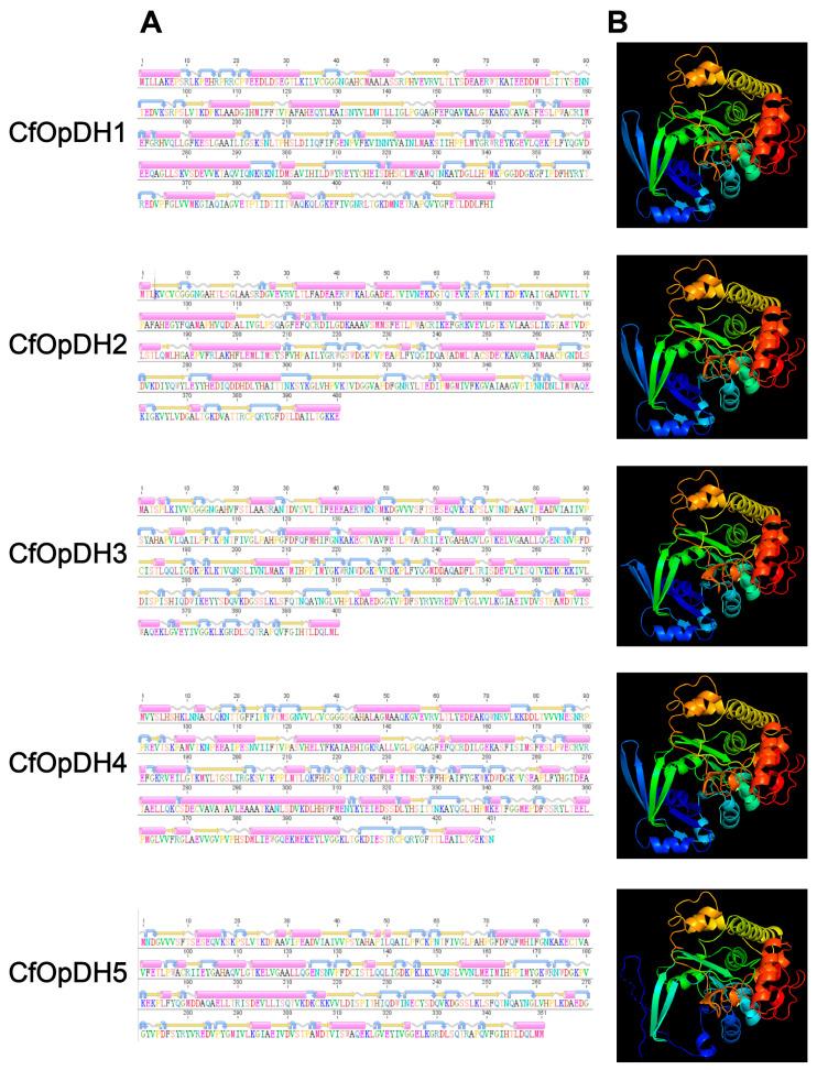https://cdn.ncbi.nlm.nih.gov/pmc/blobs/eabd/11084901/8fb817ebe8d6/ijms-25-04741-g002.jpg