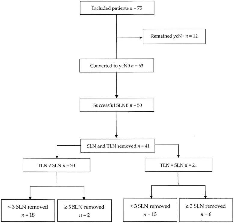 https://cdn.ncbi.nlm.nih.gov/pmc/blobs/eabf/8198475/82751f6bd348/cancers-13-02620-g001.jpg