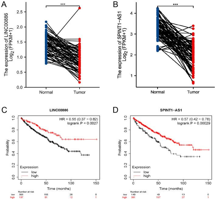 https://cdn.ncbi.nlm.nih.gov/pmc/blobs/eac1/10770353/1afcdede249a/41598_2024_51197_Fig11_HTML.jpg