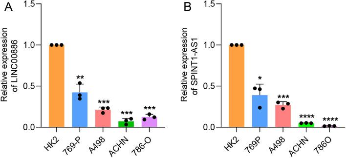 https://cdn.ncbi.nlm.nih.gov/pmc/blobs/eac1/10770353/22733e616338/41598_2024_51197_Fig12_HTML.jpg