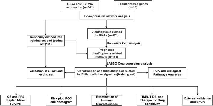 https://cdn.ncbi.nlm.nih.gov/pmc/blobs/eac1/10770353/6c115739097e/41598_2024_51197_Fig1_HTML.jpg