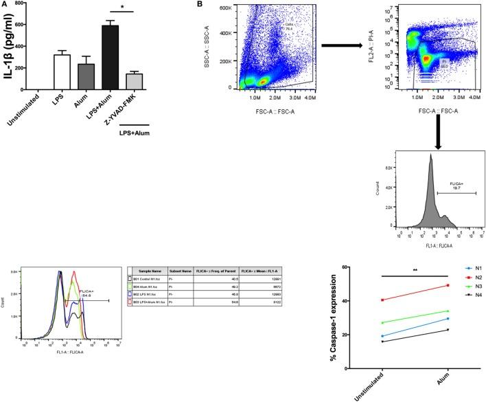 https://cdn.ncbi.nlm.nih.gov/pmc/blobs/eac2/5701618/f95a8a03d90f/fimmu-08-01494-g004.jpg